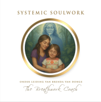 2e termijn Systemic Soulwork 2026-2027